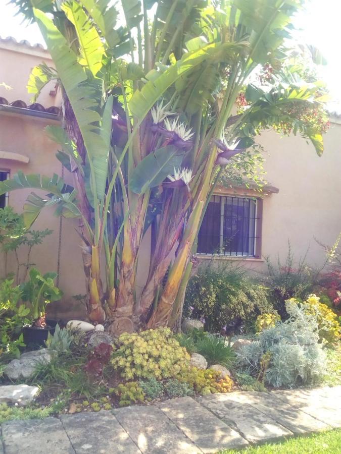 Arthouse Campos Mit Haus Galeria 110Qm Und Appartementhaus Mit Patio 30Qm エクステリア 写真