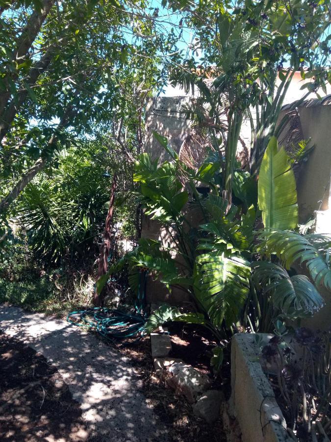 Arthouse Campos Mit Haus Galeria 110Qm Und Appartementhaus Mit Patio 30Qm エクステリア 写真